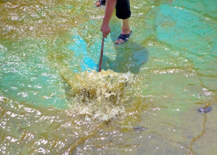 Loch Im Pool Finden Ohne Wasser Abzulassen Was ist ein Skimmer für den Pool?
