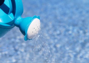 Poolwasser zum Gießen