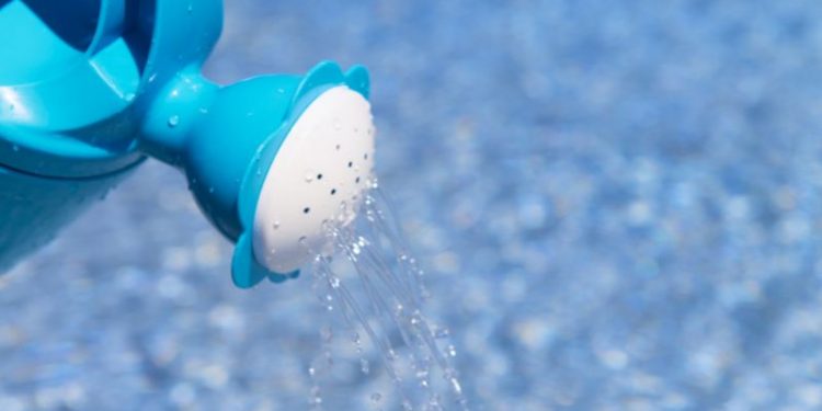 Poolwasser zum Gießen