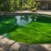 Algen im Pool bekämpfen
