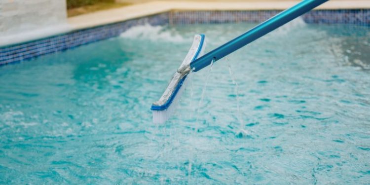 Pool sauber halten ohne Pumpe (Einfache Methoden)