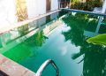 Poolwasser grün trotz Chlor und pH: Gründe und Behebung