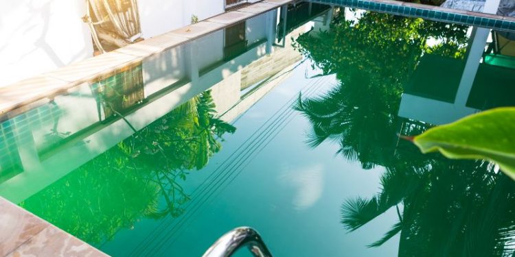Poolwasser grün trotz Chlor und pH: Gründe und Behebung