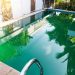 Poolwasser grün trotz Chlor und pH: Gründe und Behebung