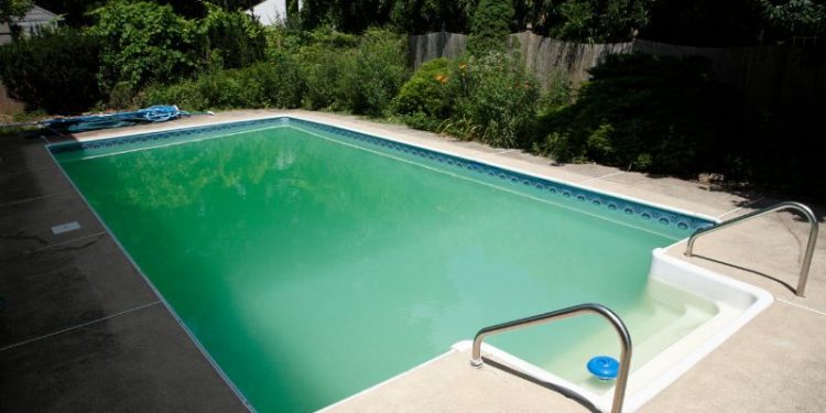 Darum ist Ihr Poolwasser grün trotz Stoßchlorung